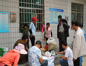 师宗县葵山镇通过种植金银花脱贫致富